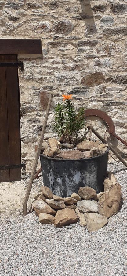 Chambre Dhotes B&B Le Figuier Benayes Kültér fotó