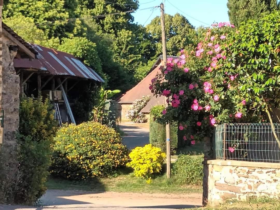 Chambre Dhotes B&B Le Figuier Benayes Kültér fotó